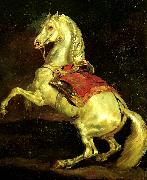 Theodore   Gericault cheval cabre, dit tamerlan oil on canvas